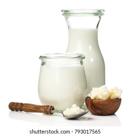 Milk kefir grains. milk kefir, or búlgaros, is a fermented milk drink that originated in the Caucasus Mountains made with kefir "grains", a yeast/bacterial fermentation starter.