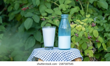 Milk Pour From Bottle Into Glass Outdoors. Concept Of Healthy Eating, Organic Food And Drink Natural Product, Healthy Lifestyle. Fresh Milk Pouring In Glass. Countryside Summer Day Outdoor Slow Motion