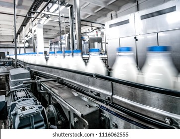Milk production on line at the factory - Shutterstock ID 1116062555