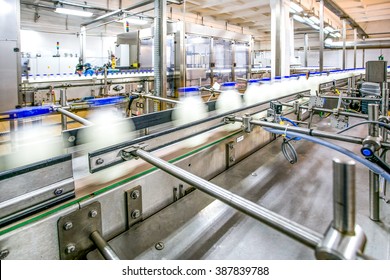 Milk Production On Line At The Factory