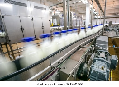 Milk production on line at the factory