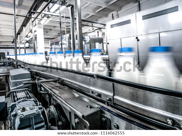 Milk production on line\
at the factory
