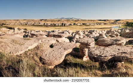 Milk River, Alberta, Canada - August 14, 2022