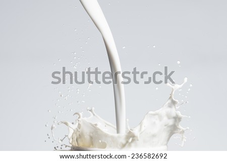 Milk Splash