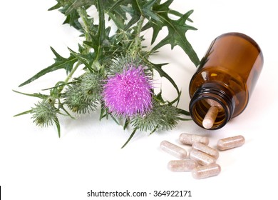 Milk Thistle And Capsules In Brown Medicine Bottle On White Background