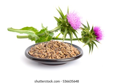 Milk Thistle Flowers With Seeds. Isolated.