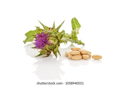 Milk Thistle Natural Remedy. Milk Thistle Flower With Nutrition Supplement Pills Isolated On White Background.