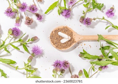Milk Thistle supplies, powder and oil. Silybum marianum, natural organic wild flower superfood product - whole and grain seeds, pills, oil with fresh thistle flowers