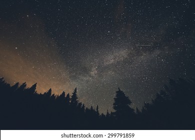 Milk Way Night Sky Over Pine Trees At Breckenridge, Colorado