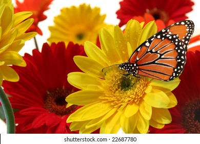 Uitgelezene Lente+bloemen: afbeeldingen, stockfoto's en vectoren | Shutterstock MT-37
