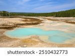 the milky blue,  opalescent porcelain springs in the porcelain  basin of norris geyser basin on a sunny summer day in yellowstone national park in wyoming      