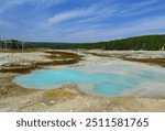 the milky blue,  opalescent porcelain springs in the porcelain  basin of norris geyser basin on a sunny summer day in yellowstone national park in wyoming      