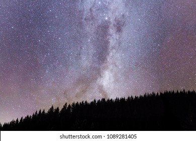 Milky Wat In The Forest, New Zealand, Nelson