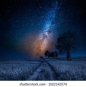 Milky Way And Field With Trees In Summer