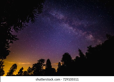 Milky Way Galaxy Over Forrest In Shropshire UK