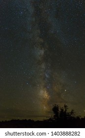 The Milky Way Galaxy Stretches Above A Juniper Tree In The Island In The Sky At Canyonlands National Park. Long Exposure Shot Shows Spectacular Stars.