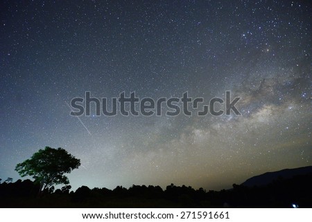 Milky way on the sky with lonely tree
