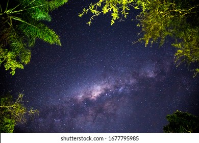 Milky way on the skyes of night Africa