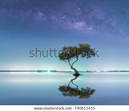 The milky way over big tree in tropical beach with night sky, Thailand