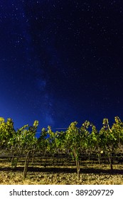 Milky Way Over Vineyards In California's Wine Country. Napa Valley, California