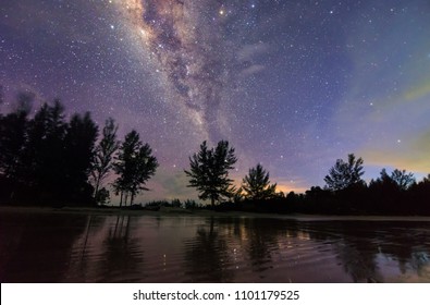 Milky Way Rise Above Tress. Soft Focus, Blur And Noise Due To Long Expose And High ISO.