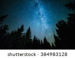 The Milky Way rises over the pine trees on a foreground