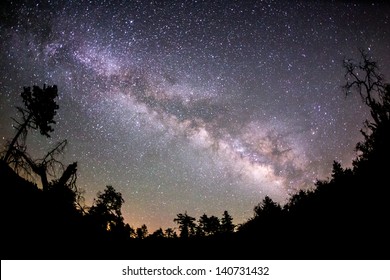 The Milky Way and some trees. In the mountains of San Diego County.