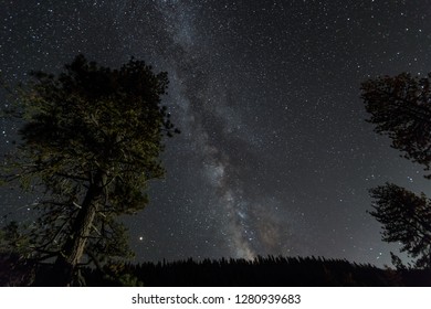 Milky Way At A Starry Night In A Dark Forest Of Sequoia National Park