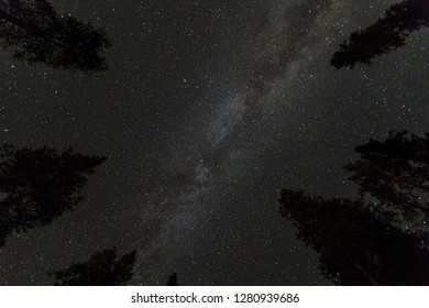 Milky Way At A Starry Night In A Dark Forest Of Sequoia National Park