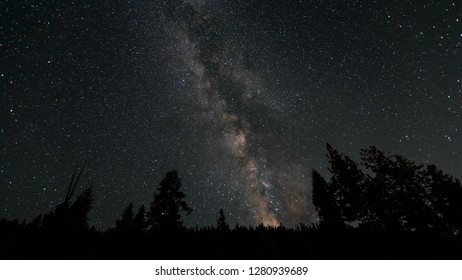 Milky Way At A Starry Night In A Dark Forest Of Sequoia National Park