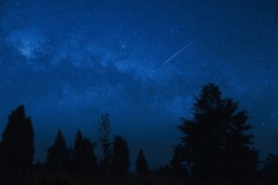 Des étoiles à La Voie Lactée Avec Silhouettes D'arbres De Campagne.