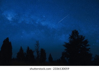 Milky way stars with countryside tree silhouettes. - Shutterstock ID 2336130059