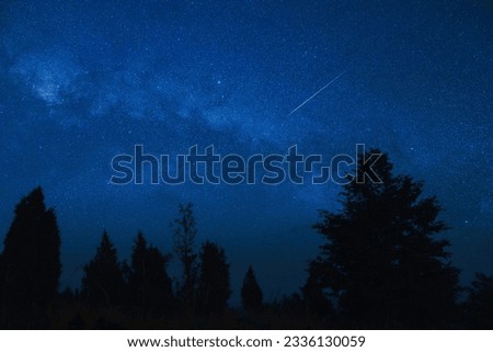 Milky way stars with countryside tree silhouettes.