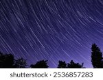 Milky Way stars with meteor shower trails and countryside silhouettes.