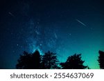 Milky Way stars with meteor shower trails and countryside tree silhouettes.