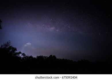 Milky Way  with tree in foreground