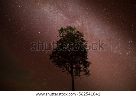 Milky way with tree foreground on clear sky