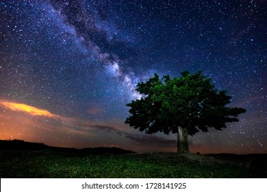 Milky Way And Tree On The Mountain. Old Tree Growing Out Against Night Starry Sky With Purple Milky Way. Night Landscape. Space Background. Galaxy. Mountain Ridge. Wilderness, Wild Nature.