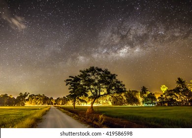 The milky way and the tree stand alone and road - Powered by Shutterstock