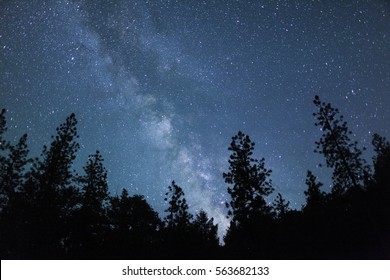 Milky Way With Trees, Oregon, Ashland, Cascade Siskiyou National Monument