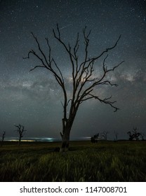 A Milkyway Silhouette On An Australian Farm