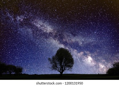 Milkyway Tree Nightsky