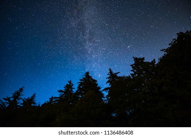 Milky-way Under The Night Sky Above The Forest