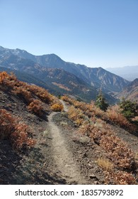 Mill B North Trail, Wasatch National Forest, Utah