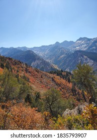 Mill B North Trail, Wasatch National Forest, Utah