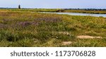 The Mill On The Marsh