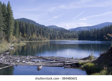 Mill Pond