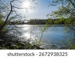A Mill Pond is surrounded by trees in Waukesha County, Wisconsin, its still water reflecting the sky in early May.