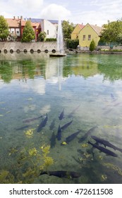 Mill pond in Tapolca