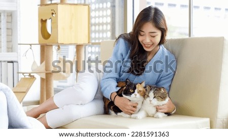 Millennial Asian young kindly cheerful female owner sitting on cozy sofa couch smiling holding hugging cuddling two short hair cute little domestic kitten furry purebreed pussycat pet friend at home.